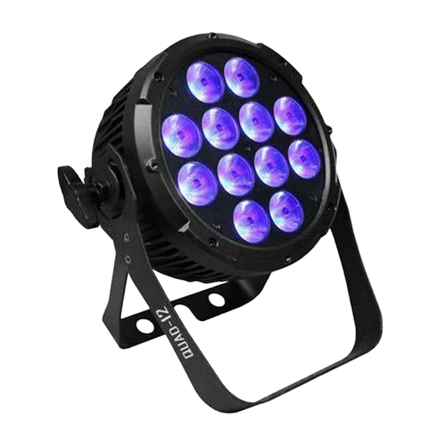 LEDPAR121